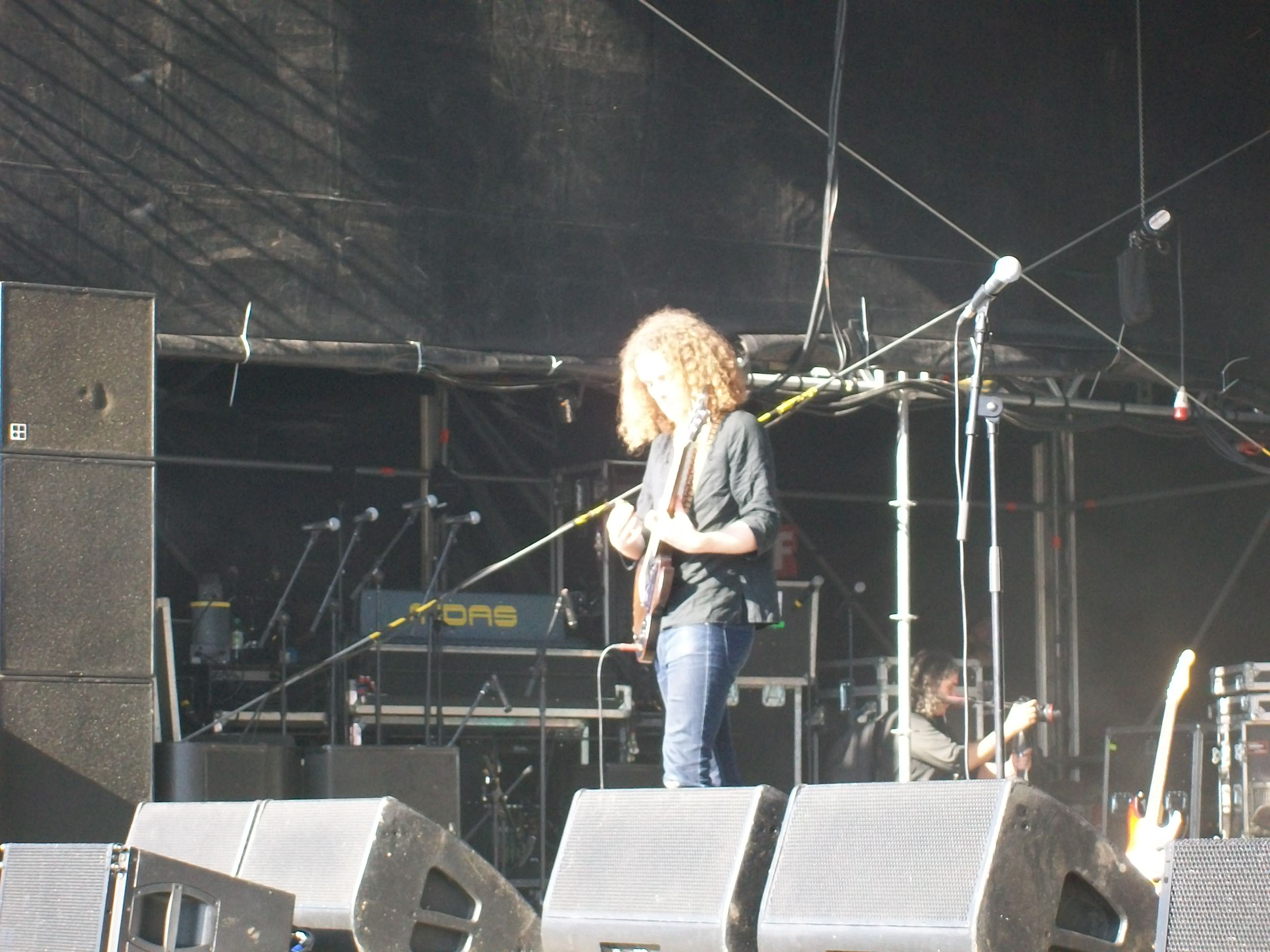 BluesPills2014-07-31BurgHerzbergFestivalHessenGermany (4).JPG